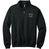 Biggby Bombers NuBlend 1/4-Zip Cadet Collar Sweatshirt