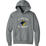 Delaware Jr. Blue Hens Heavyweight Hoodie